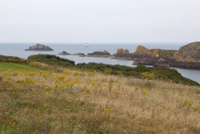 Paysage