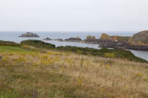 Pointe du Grouin in Cancale